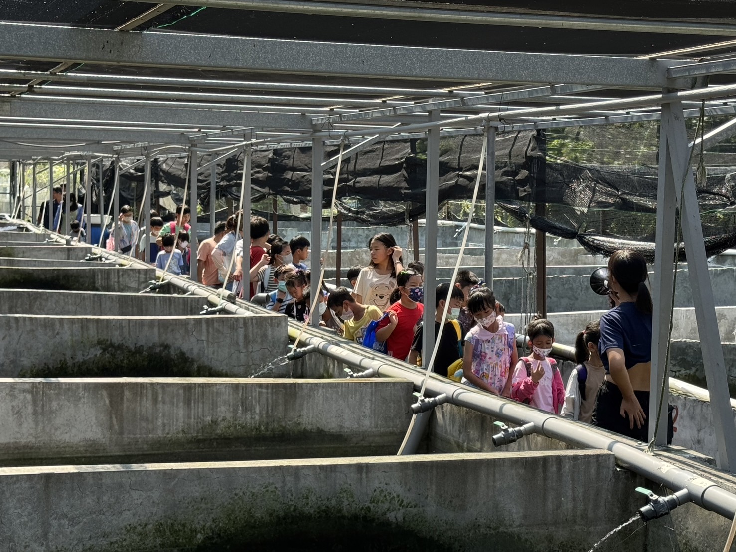 🎉 暑假一日夏令營開跑啦！🐟一日金魚職人🐟
